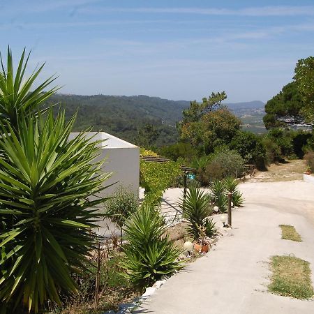 A Perfect Villa With Pool Terrace And Garden Alcobaça Exterior foto