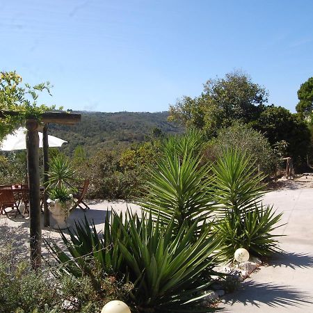A Perfect Villa With Pool Terrace And Garden Alcobaça Exterior foto