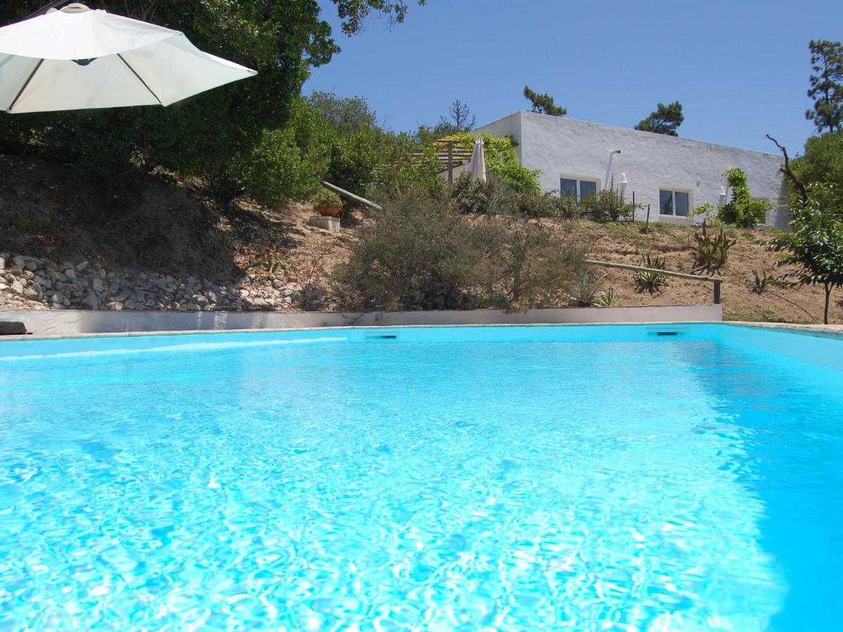A Perfect Villa With Pool Terrace And Garden Alcobaça Exterior foto