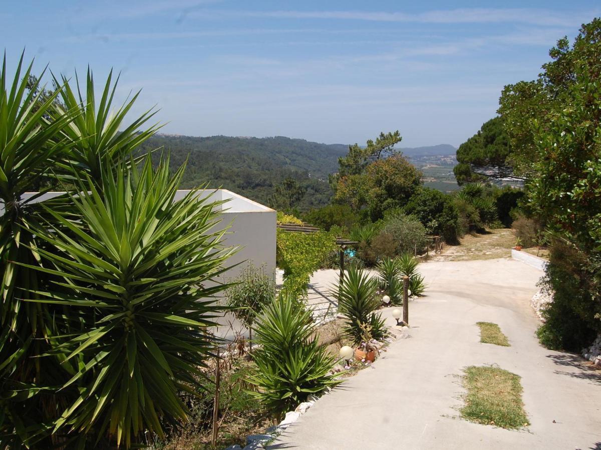 A Perfect Villa With Pool Terrace And Garden Alcobaça Exterior foto