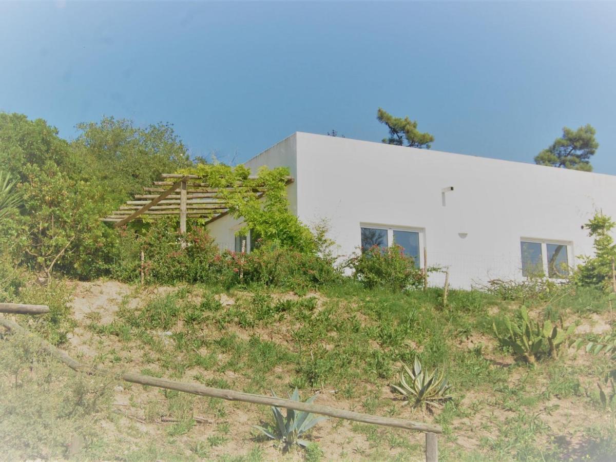 A Perfect Villa With Pool Terrace And Garden Alcobaça Exterior foto