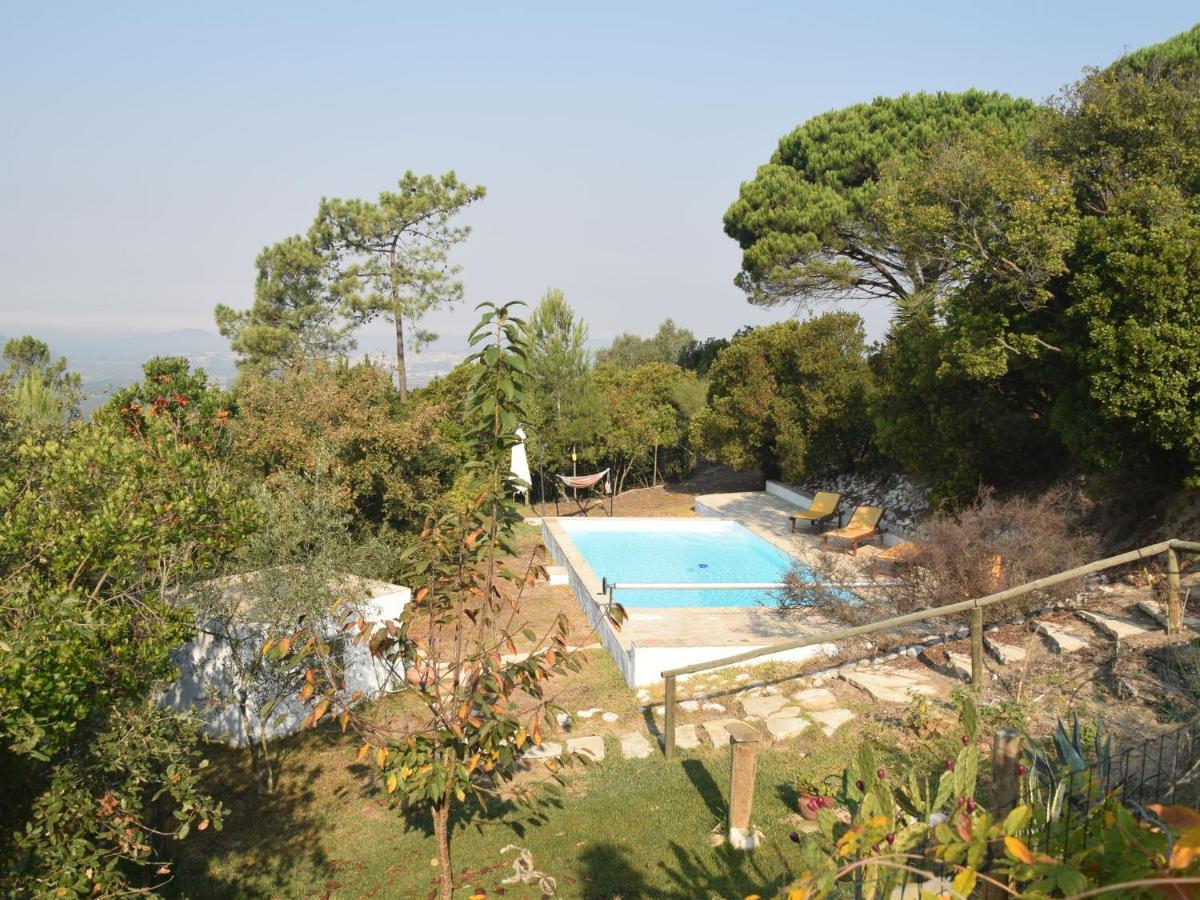 A Perfect Villa With Pool Terrace And Garden Alcobaça Exterior foto