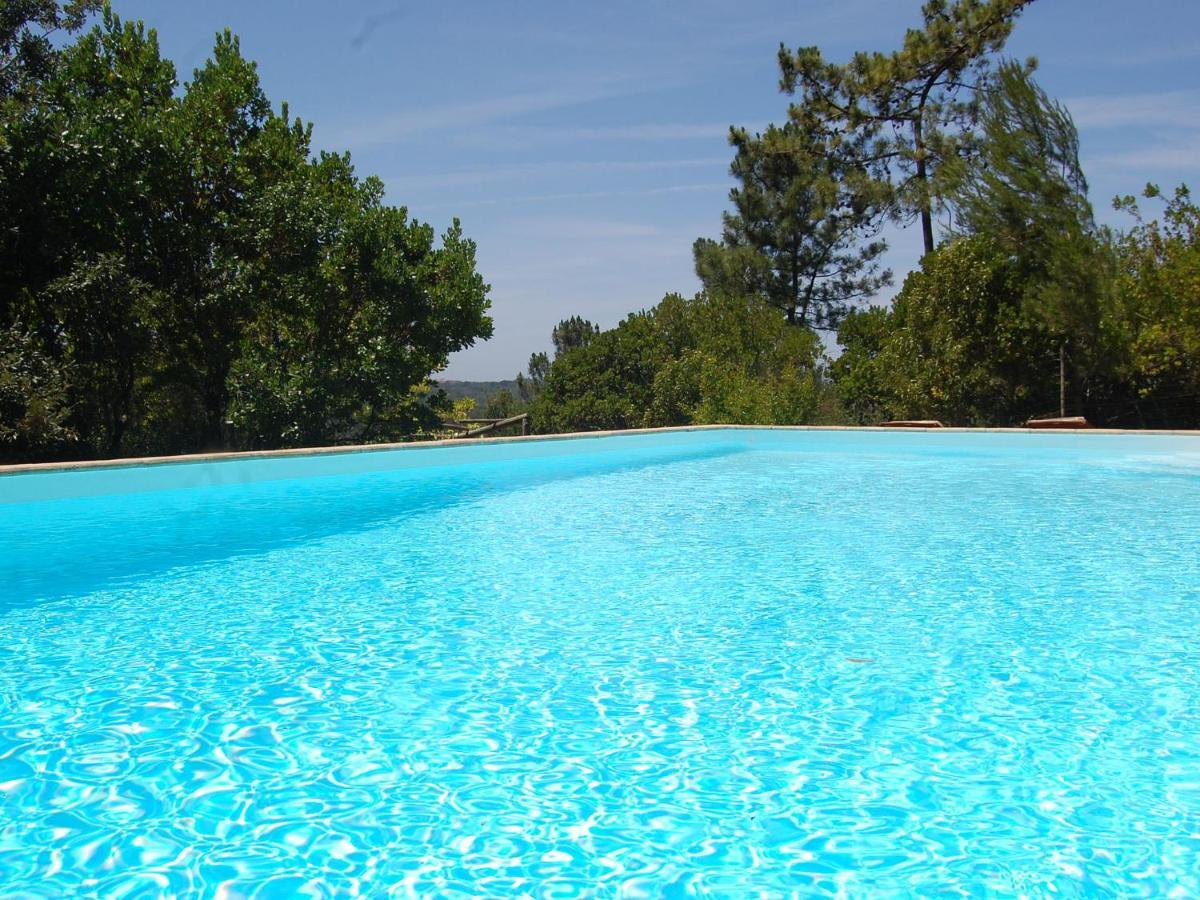 A Perfect Villa With Pool Terrace And Garden Alcobaça Exterior foto