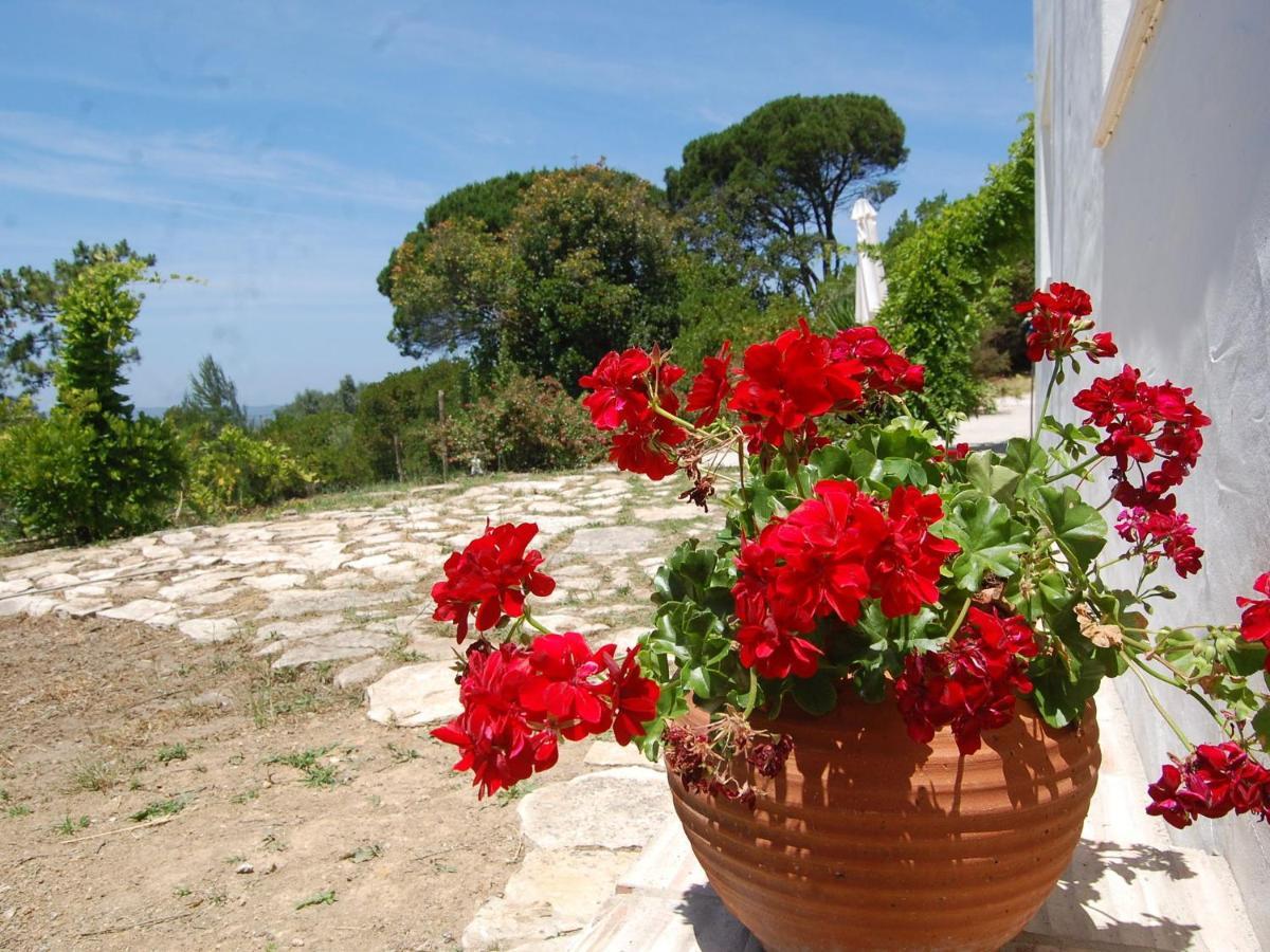 A Perfect Villa With Pool Terrace And Garden Alcobaça Exterior foto